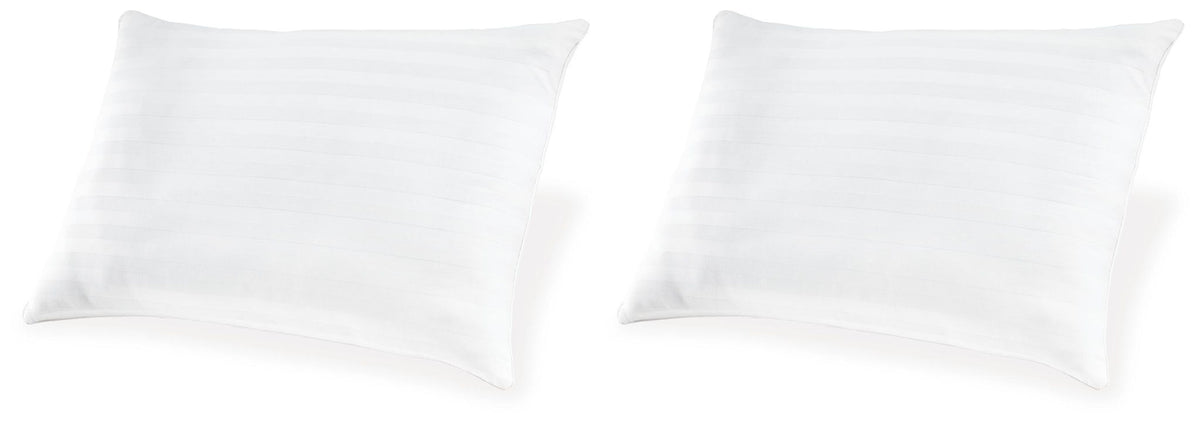 Zephyr 2.0 - Cotton Pillow by Ashley – Bed Pillows