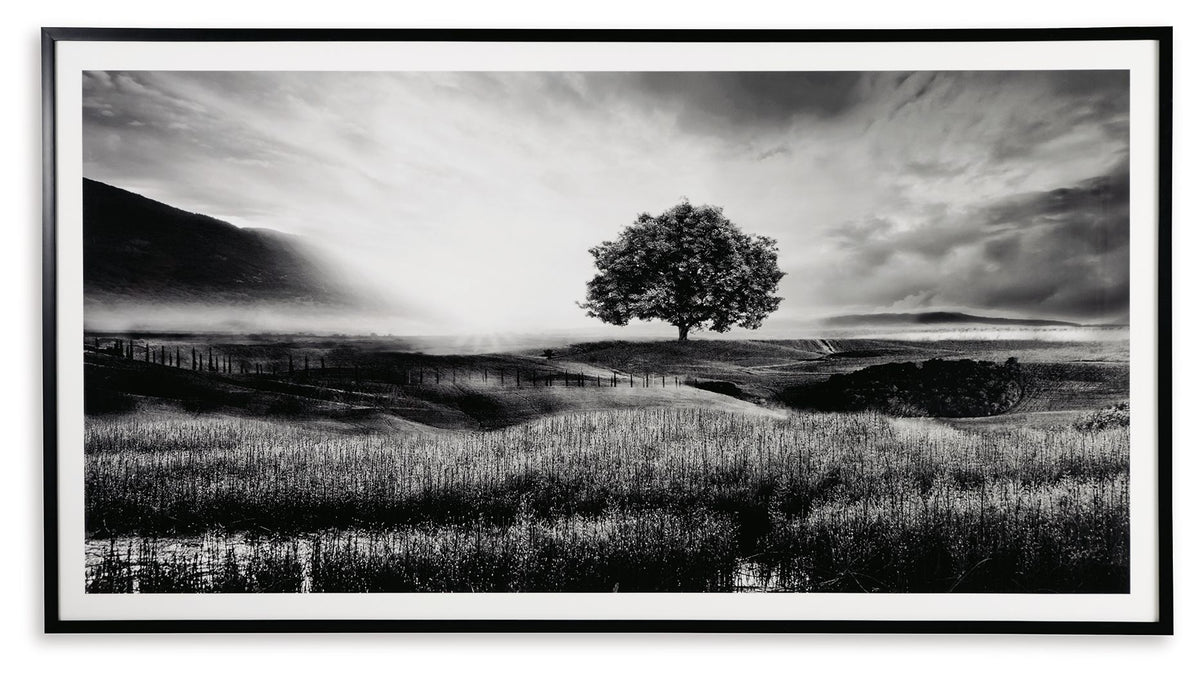 Deborland - Wall Art - Black / White by Ashley – Framed Prints