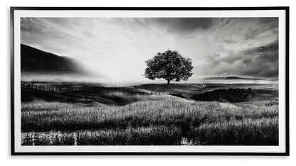 Deborland - Wall Art - Black / White by Ashley – Framed Prints