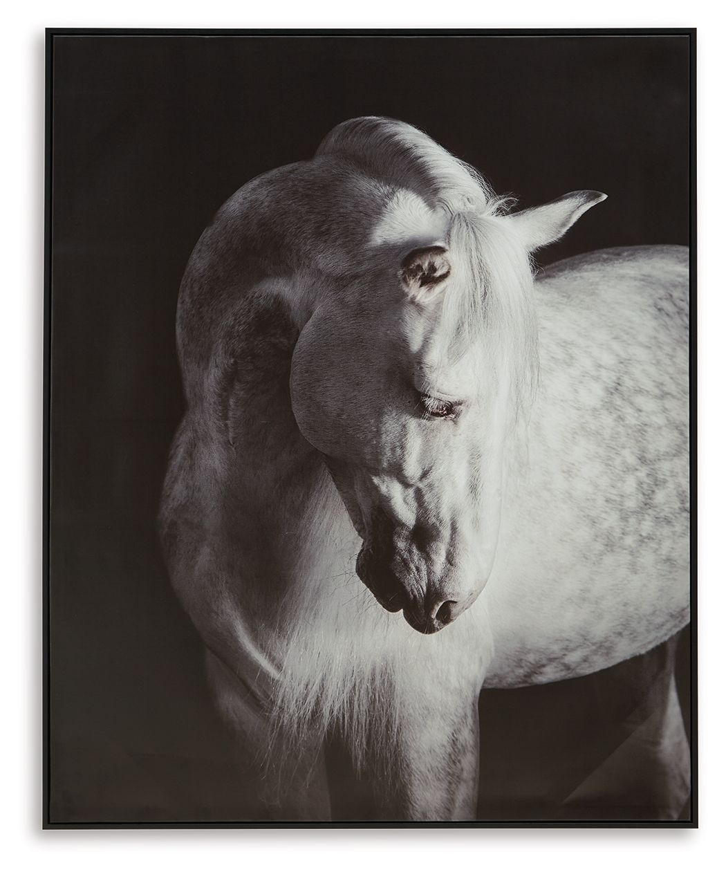 Archerwick - Wall Art - Black / White by Ashley – Canvas Art