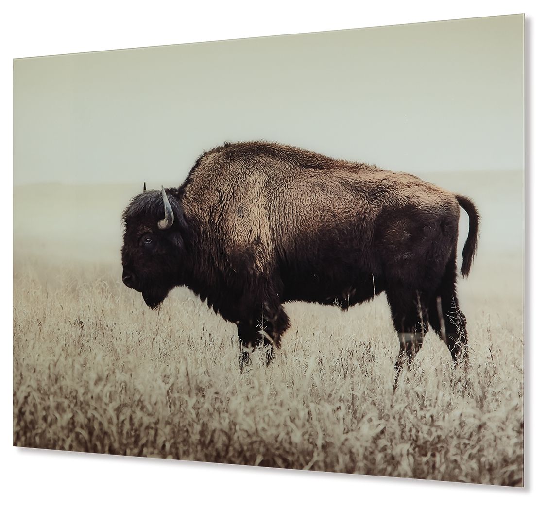 Brutus - Wall Art - Sepia by Ashley – Wall Decor