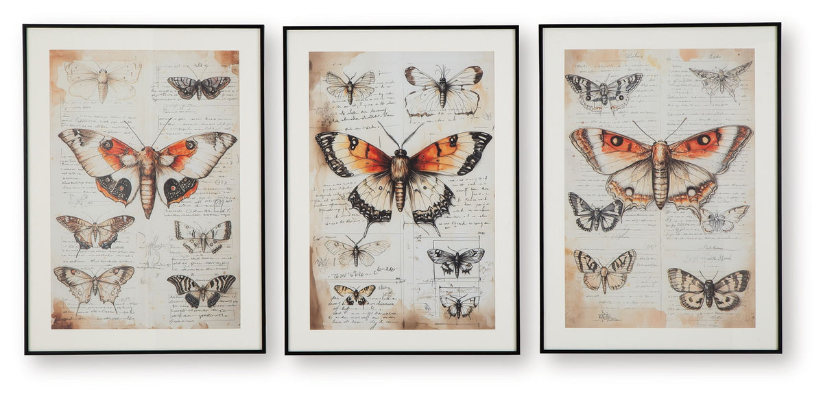 Jossletts - Wall Art Set (Set of 3) - Orange / Black / Ivory by Ashley – Framed Print Sets