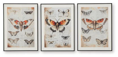 Jossletts - Wall Art Set (Set of 3) - Orange / Black / Ivory by Ashley – Framed Print Sets